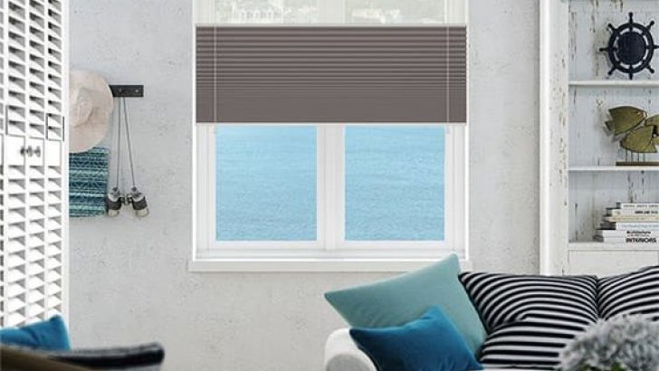 Double pleated blinds