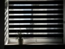 Standard day-night cassette blinds