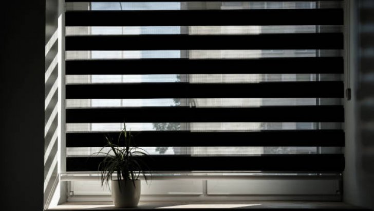 Standard day-night cassette blinds