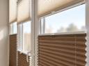 Double pleated blinds